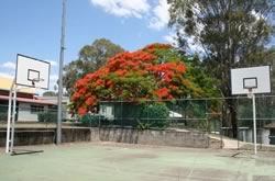Basketball Courts